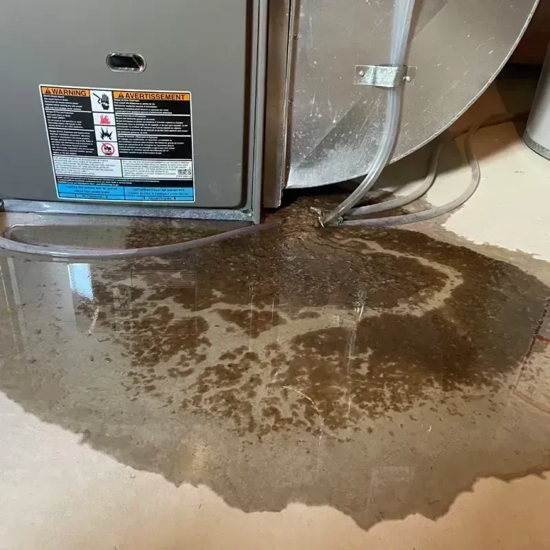 Appliance Leak Cleanup in De Witt County, IL